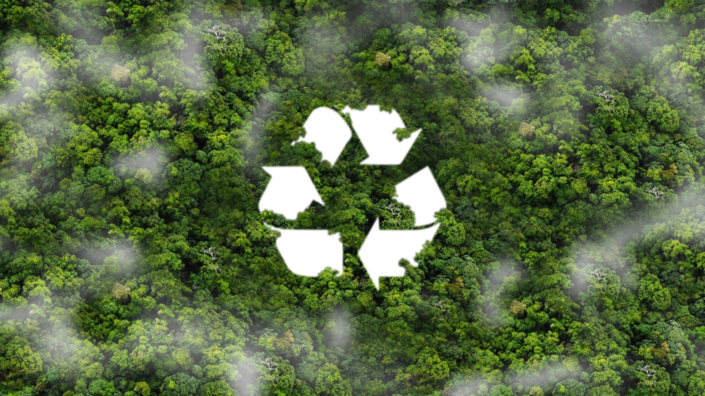 Teqtivity is Revolutionizing IT Sustainability with a Circular Economy Approach